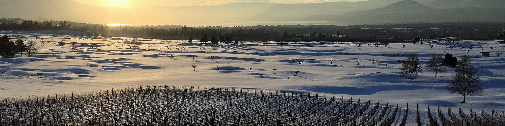 South East Kelowna Irrigation District