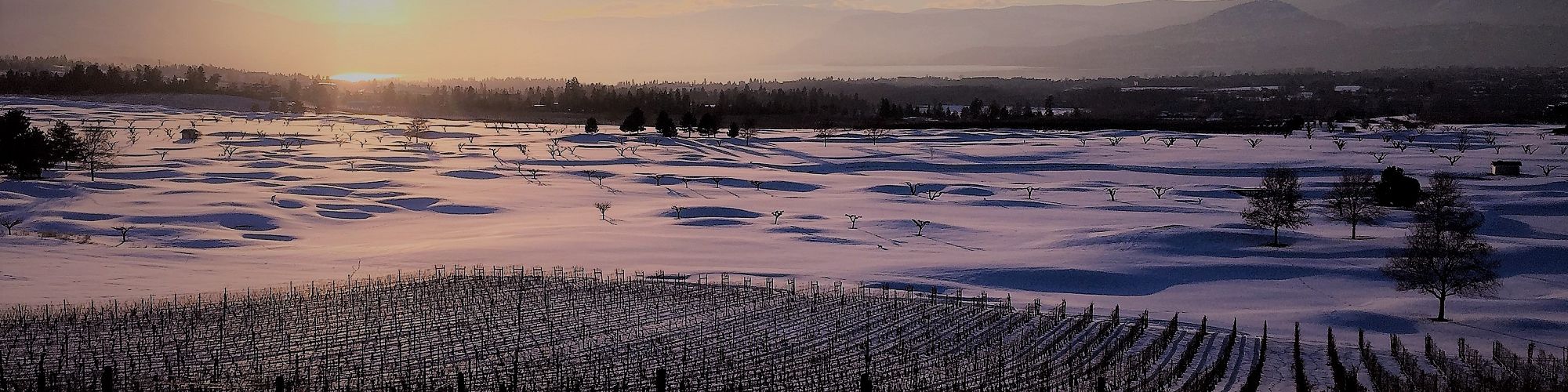 South East Kelowna Irrigation District